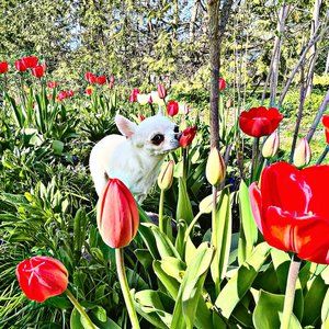 Meet your Posher, Andrea